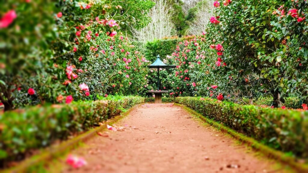 Landscaped garden walkway lined with plants and flowers